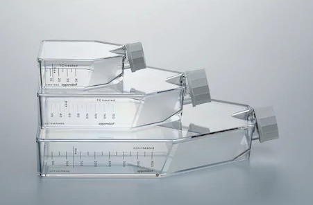 Eppendorf - Flasker for cellekultur