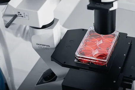 Eppendorf - Celledyrkingsplater