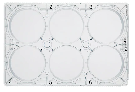 Eppendorf - Celledyrkingsplater