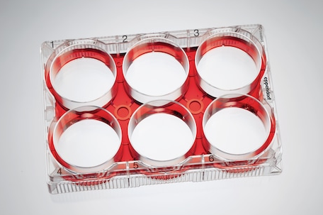 Eppendorf - Celledyrkingsplater
