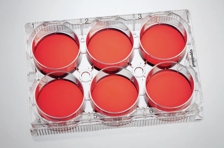 Eppendorf - Celledyrkingsplater
