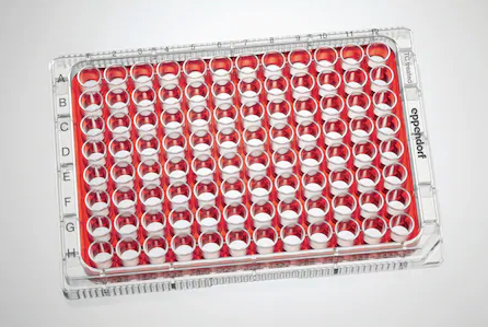 Eppendorf - Celledyrkingsplater
