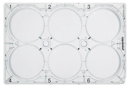 Eppendorf - Celledyrkingsplater