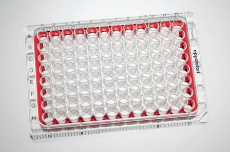 Eppendorf - Celledyrkingsplater