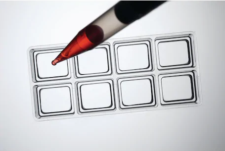 Eppendorf-Cell_Imaging_Slides_og_overbriller