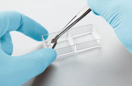 Eppendorf-Cell_Imaging_Slides_og_overbriller