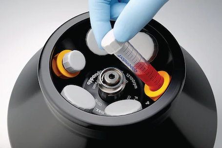 Eppendorf koniske rør 15 mL og 50 mL