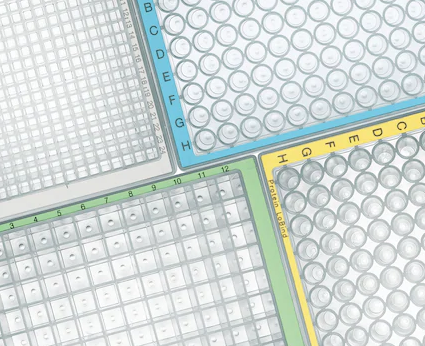 Eppendorf - Deepwell-plater