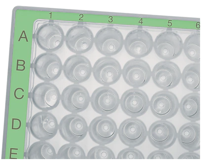 Eppendorf - Deepwell-plater