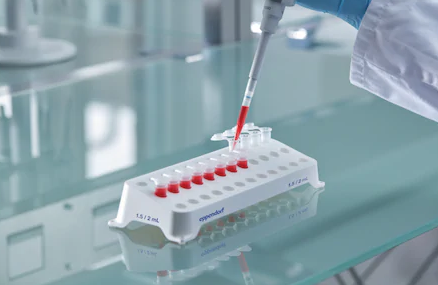 Eppendorf_rørstativ_og_kuvettestativ