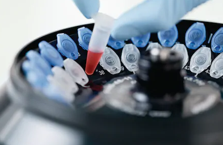 Eppendorf_Safe-Lock_Tubes