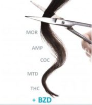 EVIDENS GCMS-hair analysis 1_1