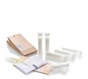 FORENSIS GCMS- urine analysis EtG 1