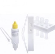 NADAL® Trichomonas vaginalis test 10 test cassettes